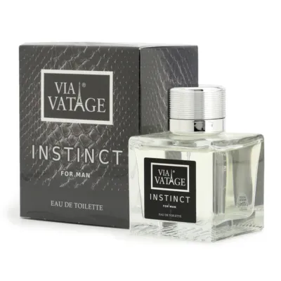 Ανδρικό άρωμα Instinct 100ml - Via Vatage